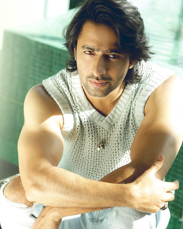 Shaheer Sheikh (Indian Actor) - Age, Height, Net Worth, Biography